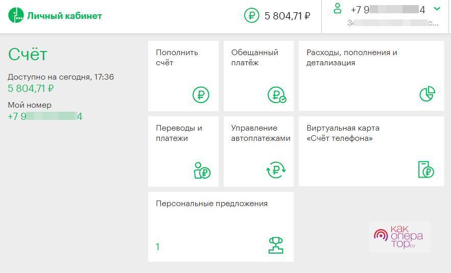 Мегафон боровичи на пушкинской режим работы