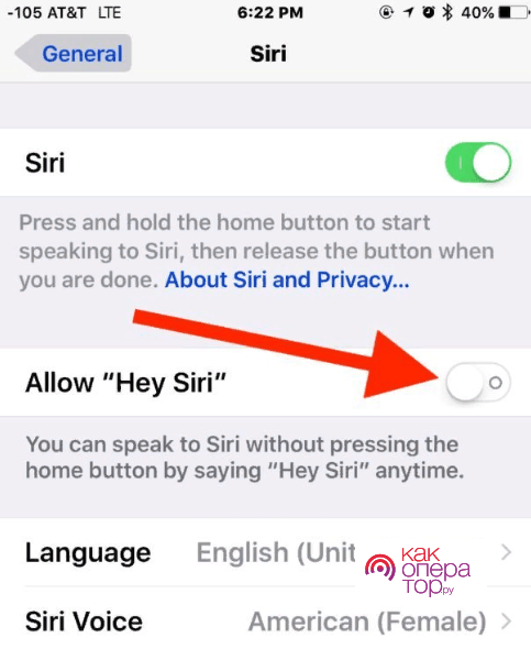 Как отключить Siri на Iphone и macOS?