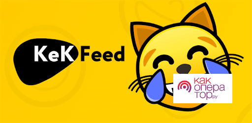 Скачать KekFeed — лучшие приколы, мемы и смешные анекдоты на компьютер (ПК Windows) бесплатно - 3.6.7