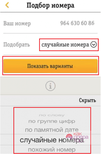 Похоже номер зарегистрирован не на вас данные не совпадают билайн